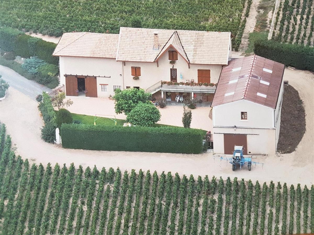 Chambres D Hotes Au Domaine De Robert Fleurie Exterior foto